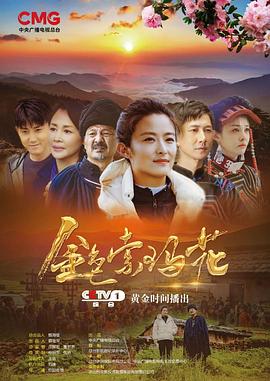 金色索玛花(2020)第13集